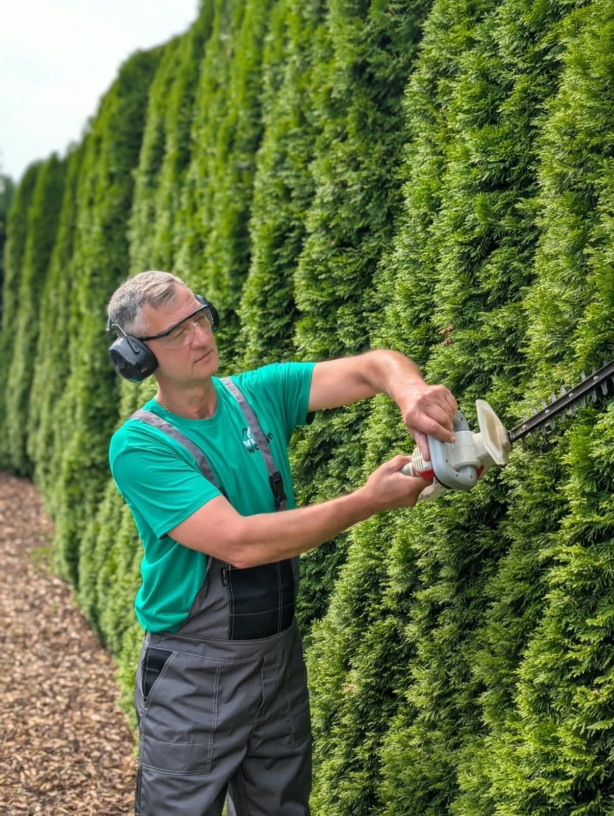 Gartenpflege – Heckenschnitt